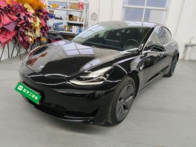 特斯拉 Model 3 2020款 改款 标准续航后驱升级版