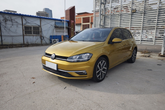 大众 高尔夫 2018款  230TSI 自动豪华型