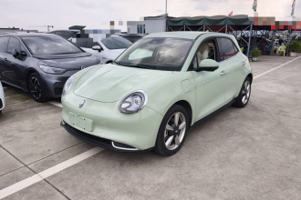 欧拉好猫 2023款 401km标准续航 豪华型 磷酸铁锂