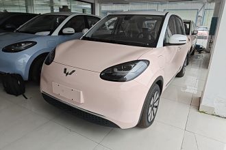 五菱汽车 五菱缤果 2023款 410km 灵犀尊享款
