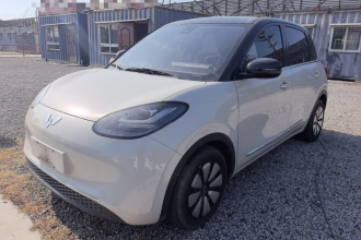 五菱汽车 五菱缤果 2023款 203km 舒享款