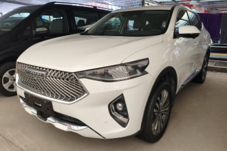 哈弗F7 2021款 2.0T 两驱i范