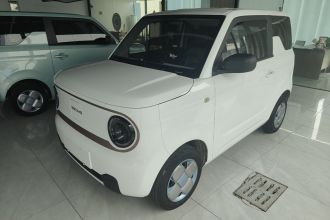 吉利银河 2023款 熊猫mini 200km 耐力熊