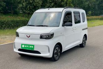 五菱汽车 五菱之光新能源 2025款 305km 进取型