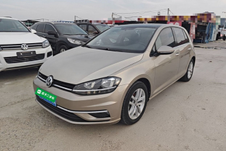 大众 高尔夫 2018款 230TSI 自动舒适型