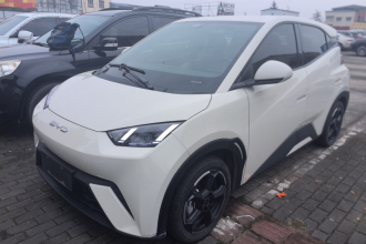 比亚迪 海鸥 2023款 飞翔版