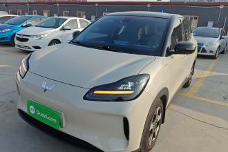 五菱汽车 五菱缤果PLUS 2024款 330km 五座版