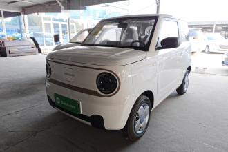 吉利银河 2024款 熊猫mini 200km 耐力熊