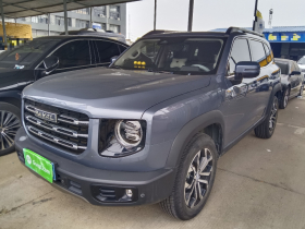 哈弗大狗 2022款 1.5T DCT两驱边牧版