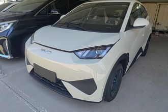 比亚迪 海鸥 2025款 智驾版 305km 活力版
