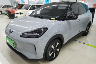 五菱汽车 五菱缤果PLUS 2024款 510km 旗舰版 四座版