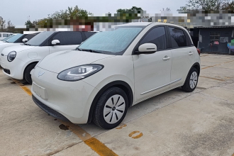 五菱汽车 五菱缤果 2023款 203km 轻享款