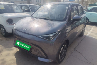 凯翼拾月 2026款 Mate 305km 国轩踏浪版