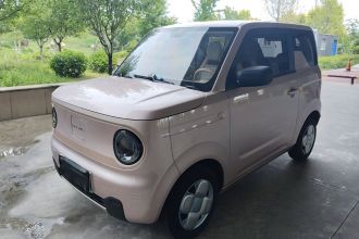 吉利银河 2024款 熊猫mini 200km 耐力熊