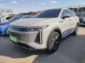 星途瑶光 2023款 400T 两驱优享版