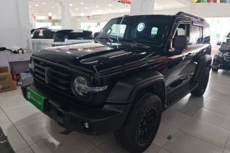 坦克300 2021款 越野版 2.0T 征服者