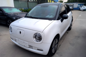 欧拉黑猫 2021款 301km 基础型
