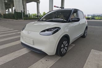 五菱汽车 五菱缤果 2024款 333km 悦享款