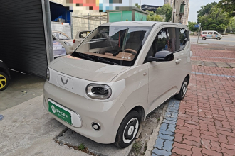 五菱汽车 宏光MINIEV 2024款 第三代 215km 青春版