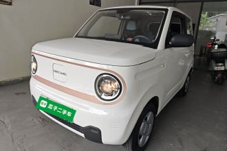 吉利银河 2024款 熊猫mini 200km 耐力熊