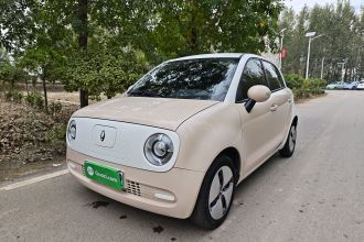 欧拉黑猫 2022款 301km 基础型 三元锂