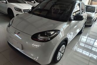五菱汽车 五菱缤果 2023款 203km 轻享款