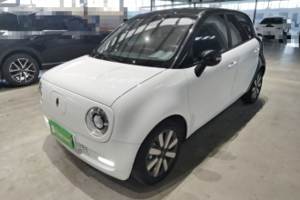 欧拉黑猫 2021款 351km 豪华型