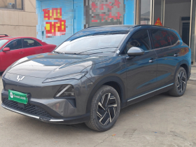 五菱汽车 五菱星光S 2024款 510km 领航型