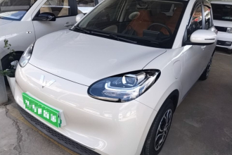 五菱汽车 五菱缤果 2023款 333km 快享款