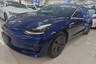 特斯拉 Model 3 2019款 标准续航后驱升级版