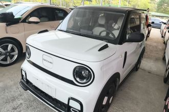 吉利银河 2025款 210km 熊猫卡丁