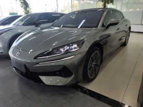 腾势Z9GT 2024款 1100四驱Max版