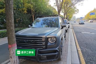哈弗猛龙新能源 2024款 Hi4 145 穿越版