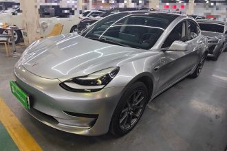 特斯拉 Model 3 2019款 标准续航后驱升级版