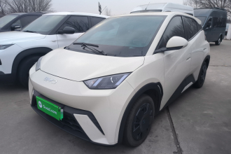 比亚迪 海鸥 2025款 305km 活力版