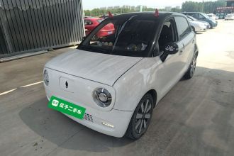 欧拉黑猫 2019款 351km 女神版