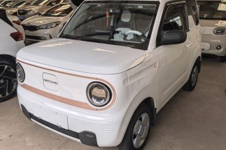 吉利银河 2024款 熊猫mini 200km 耐力熊