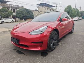 特斯拉 Model 3 2020款 标准续航后驱升级版