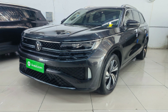 大众 揽巡 2024款 380TSI 四驱R-Line巡游版