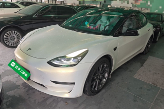 特斯拉 Model 3 2020款 改款 长续航后轮驱动版