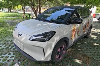 五菱汽车 五菱缤果PLUS 2024款 330km 五座版