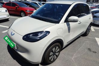 五菱汽车 五菱缤果 2024款 333km 悦享款