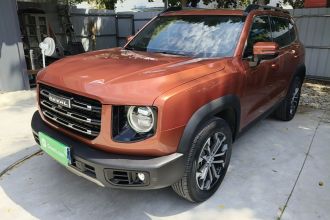 哈弗大狗 2021款 1.5T DCT两驱边牧版