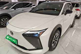 雷克萨斯RZ 2023款 450e 四驱纵享版