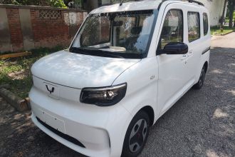 五菱汽车 五菱之光新能源 2025款 305km 进取型