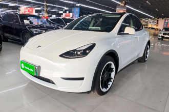 特斯拉 Model Y 2024款 后轮驱动版