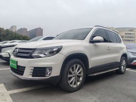 大众 途观 2017款 300TSI 自动两驱丝绸之路风尚版