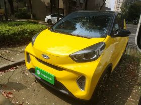 奇瑞QQ 小蚂蚁 2021款 15万蚁粉款 新蚁酷版 三元锂