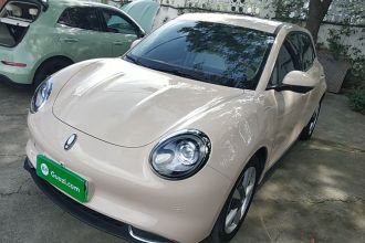 欧拉好猫 2023款 401km标准续航 豪华型 磷酸铁锂