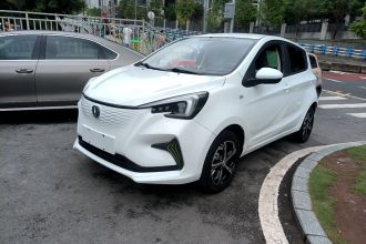 长安 奔奔E-Star 2022款 清心版 多彩款 磷酸铁锂